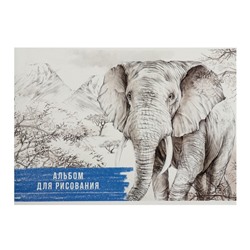 Альбом для рисования А4, 40 листов на скрепке "Слон", обложка мелованный картон, блок 100 г/м2