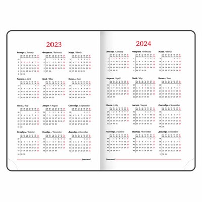 Ежедневник датированный 2023 А5 138x213 мм BRAUBERG "Sparkle", под кожу, блестки, серебристый, 114114