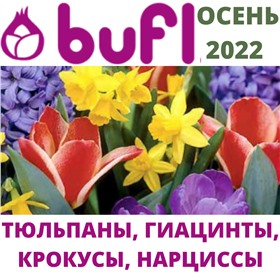 BUFL - ЦВЕТЫ ОСЕНЬ 2022