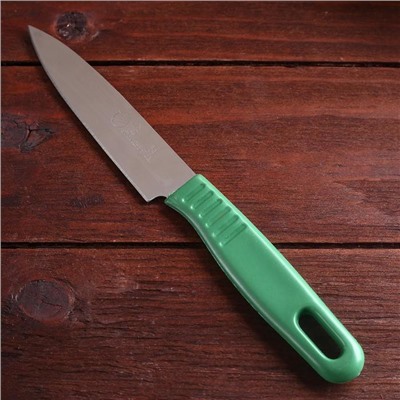 Нож туристический, в ножнах, лезвие 9,5 см, цвет микс