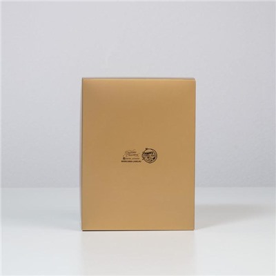 Коробка складная «Джентельмен»,  20 × 15 × 10 см