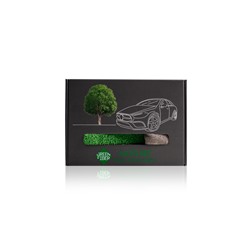 Green Fiber GlassAuto set Набор для ухода за стеклом и фарами